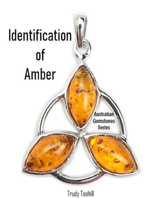 cover image of Identification of Amber